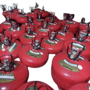 Powder fire extinguishing module